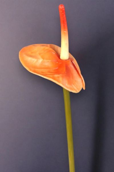 Yapay Antoryum 45 cm Turuncu