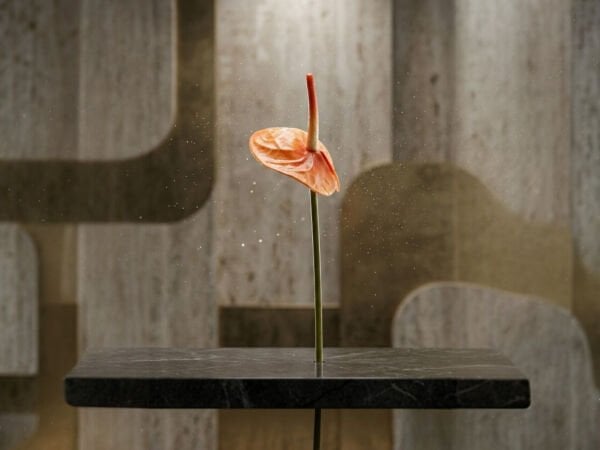 Turuncu Yapay Antoryum Çiçeği (Islak Doku, Gerçek Dokunuş) - 45 cm