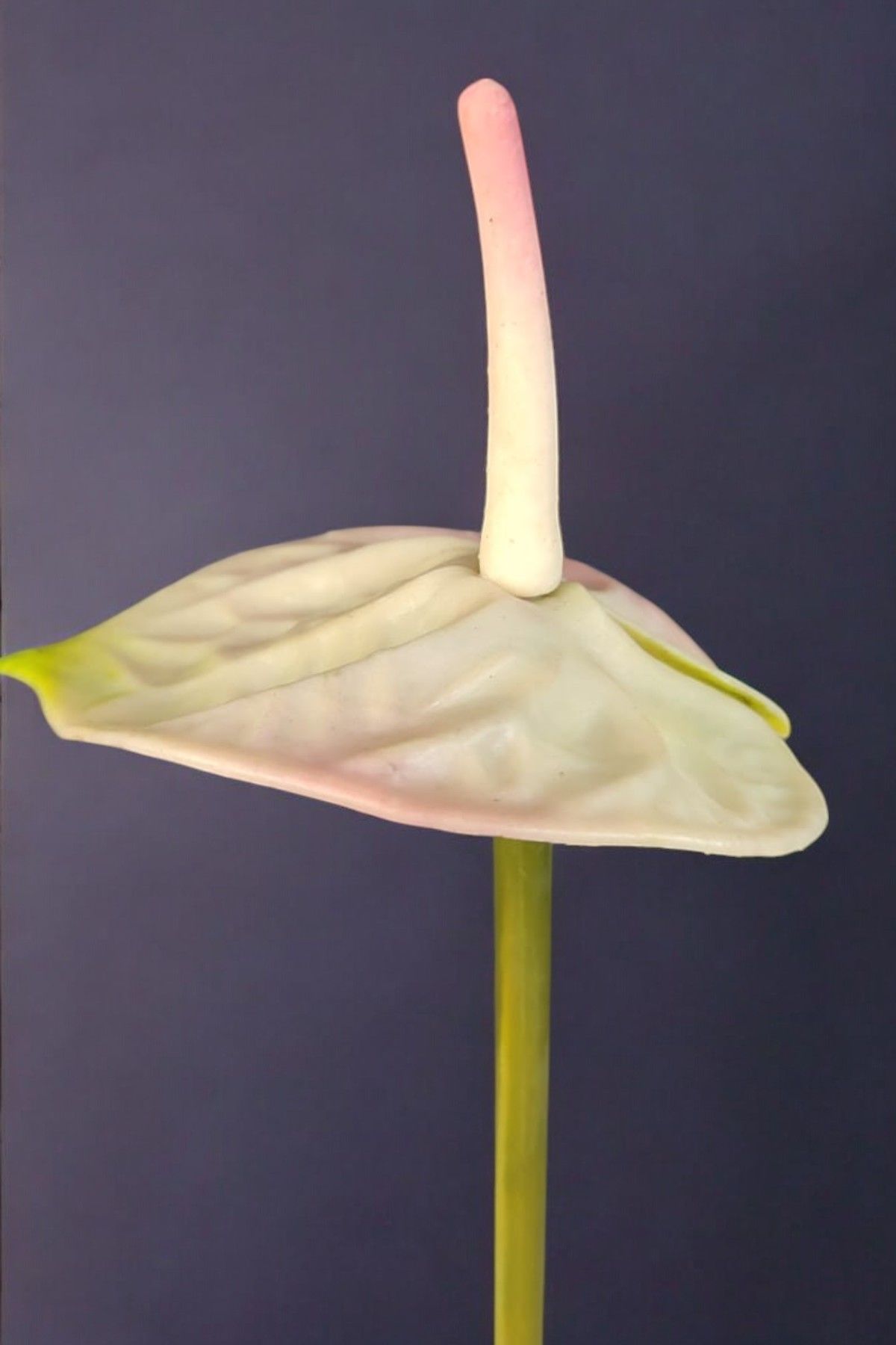 Yapay Çiçek Antoryum Pembe 45cm