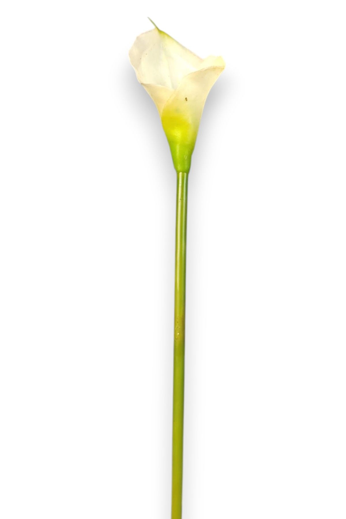 35 cm Tek Dal Beyaz Yapay Gala Çiçeği