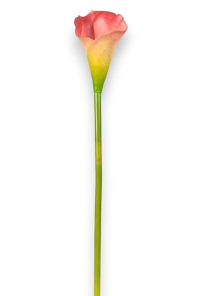 35 cm Tek Dal Yapay Gala Çiçeği - Kırmızı