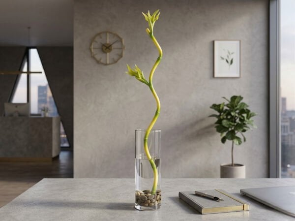 Yapay Şans Bambusu (100 cm) - Kıvrımlı Dekoratif Yapay Bambu Dalı