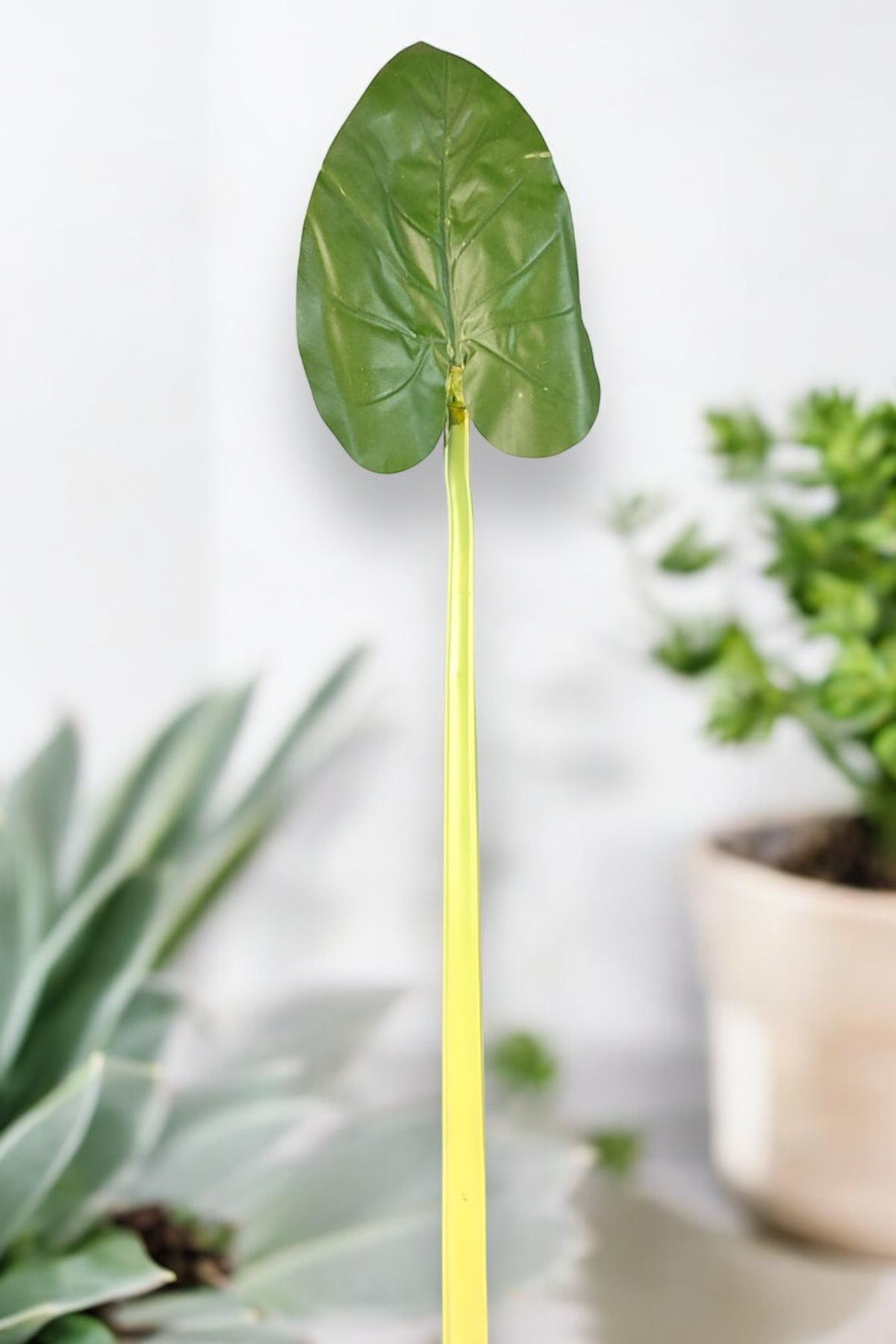 Tropikal Yaprak 80cm