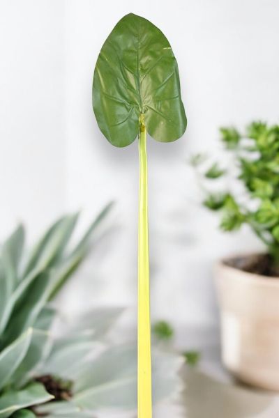 Tropikal Yaprak 80cm