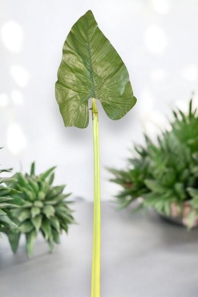 Tropikal Yaprak 80cm B