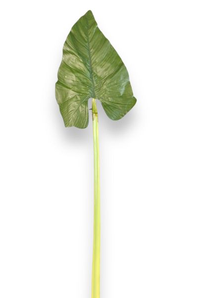 Tropikal Yaprak 80cm B