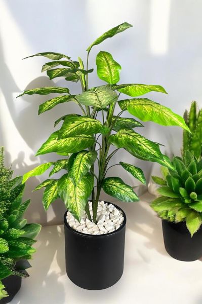 Yapay Ağaç Difenbahya 130cm