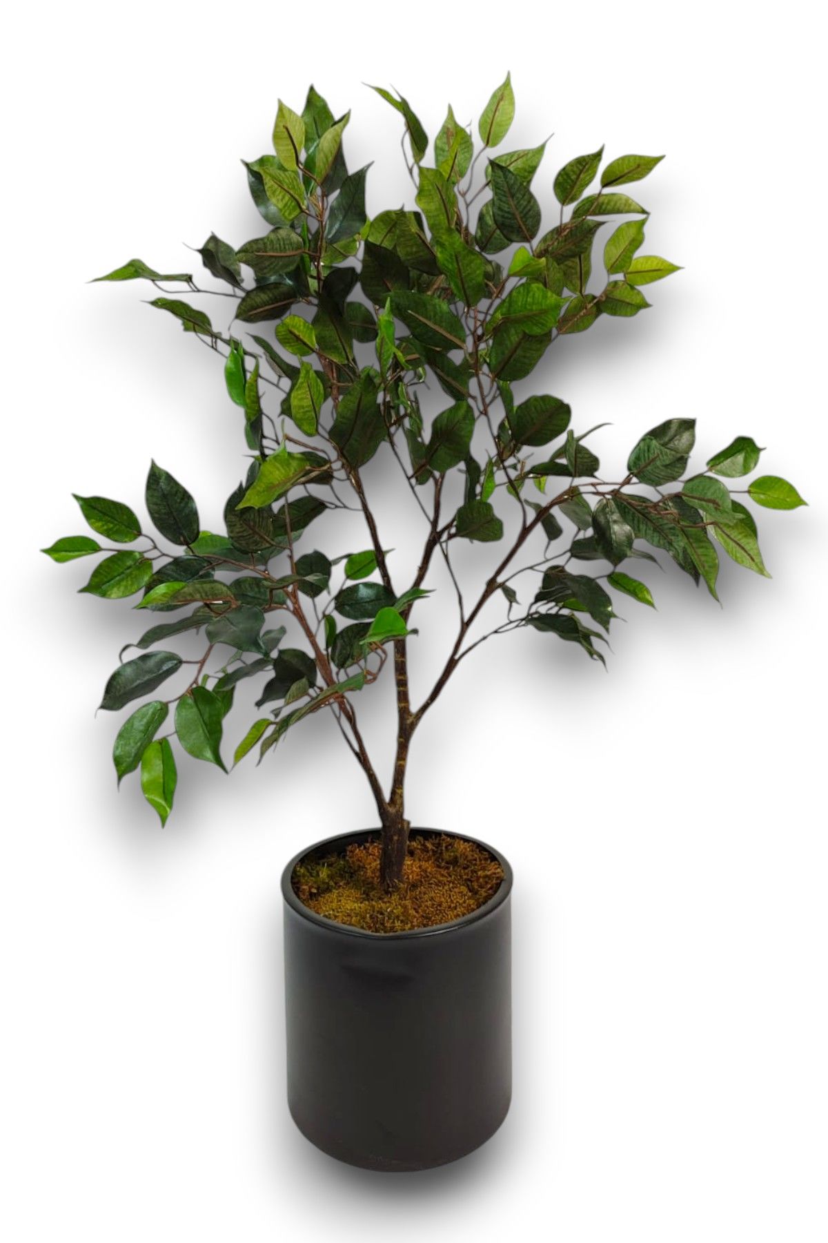Yapay Ağaç Ficus Benjamin 100cm