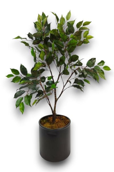 Yapay Ağaç Ficus Benjamin 100cm