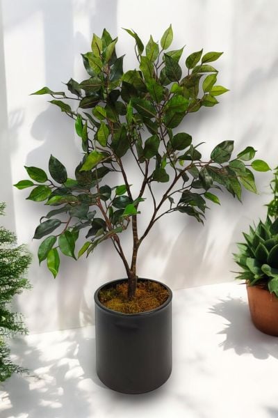 Yapay Ağaç Ficus Benjamin 100cm