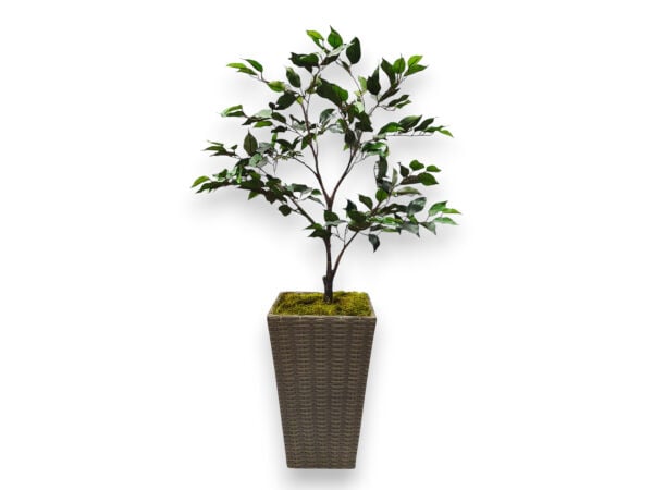 130 cm Yapay Ficus Benjamin Ağacı - Hasır Saksılı