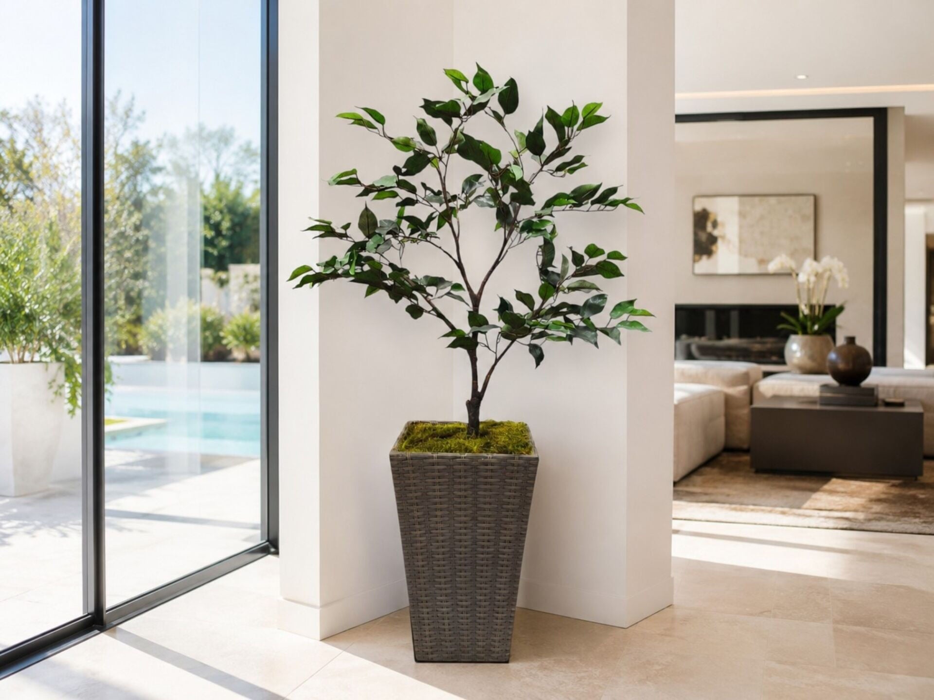 130 cm Yapay Ficus Benjamin Ağacı - Hasır Saksılı