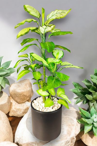 Yapay Ağaç Difenbahya 110cm