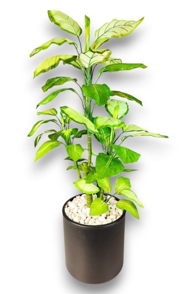 Yapay Ağaç Difenbahya 110cm