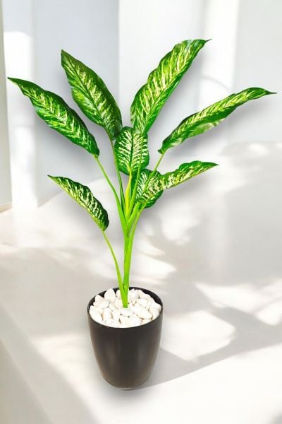 Yapay Bitki Difenbahya 80cm