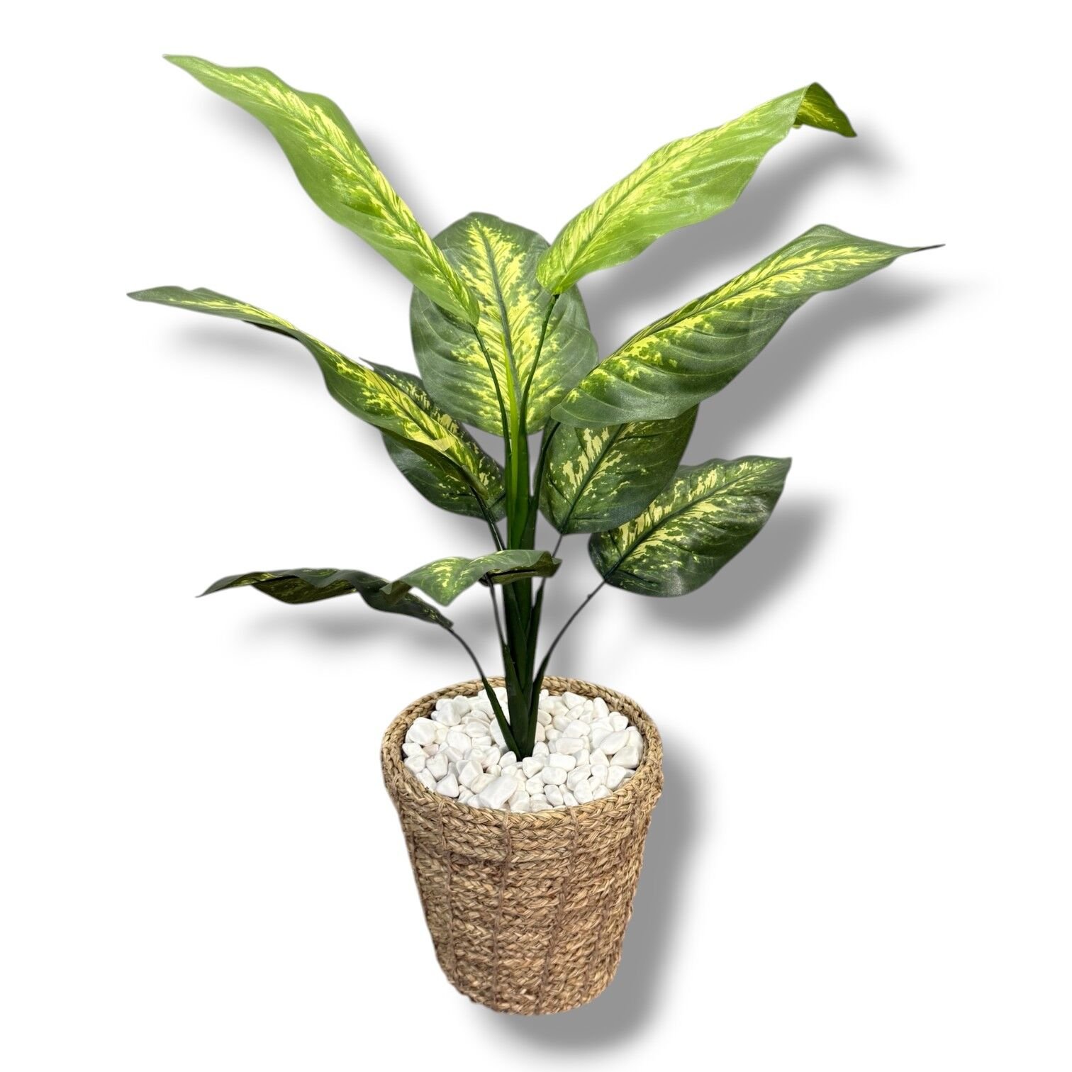 Yapay Bitki Difenbahya 60cm