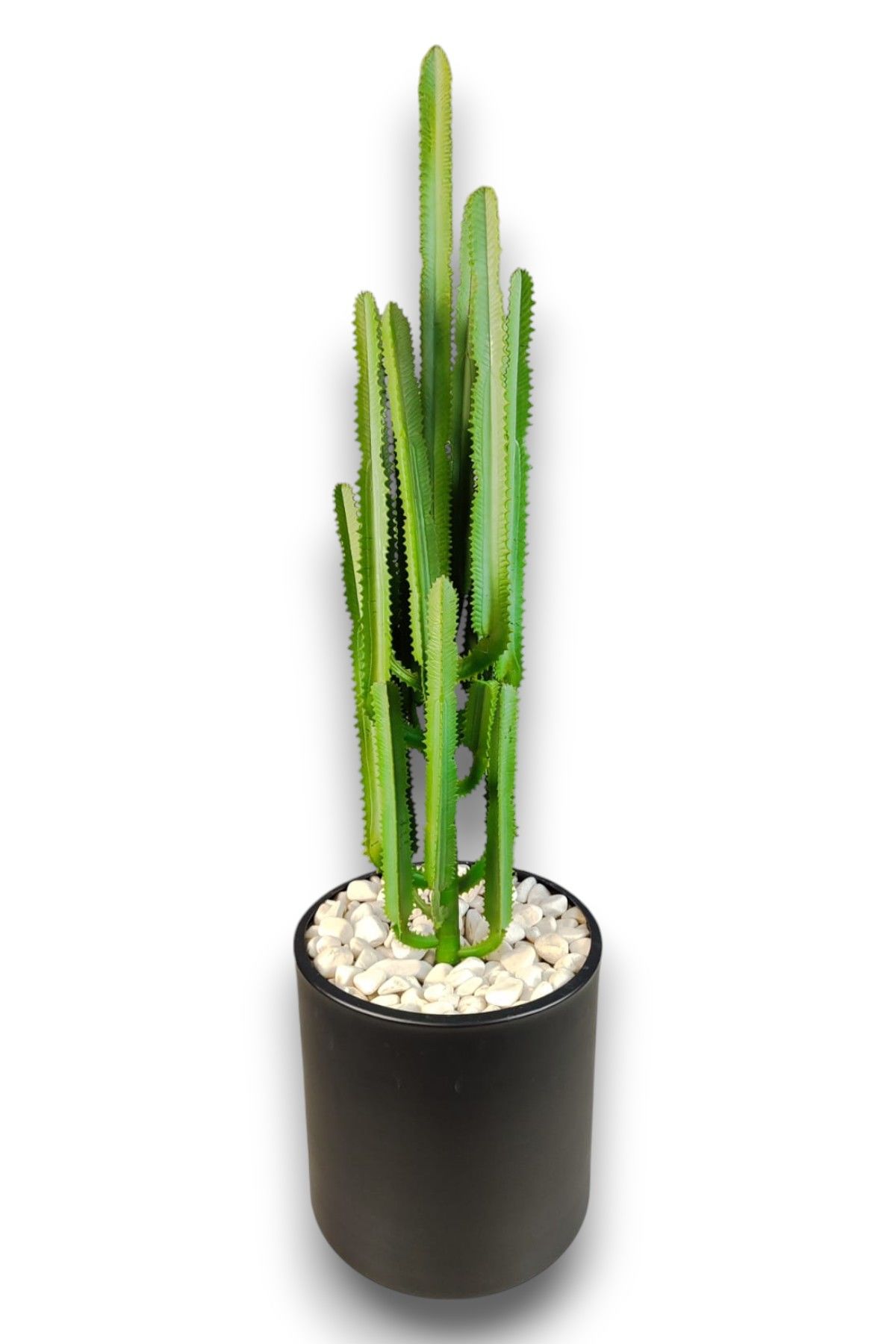 Kaktüs 100cm