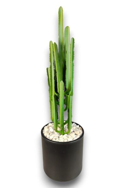 Kaktüs 100cm