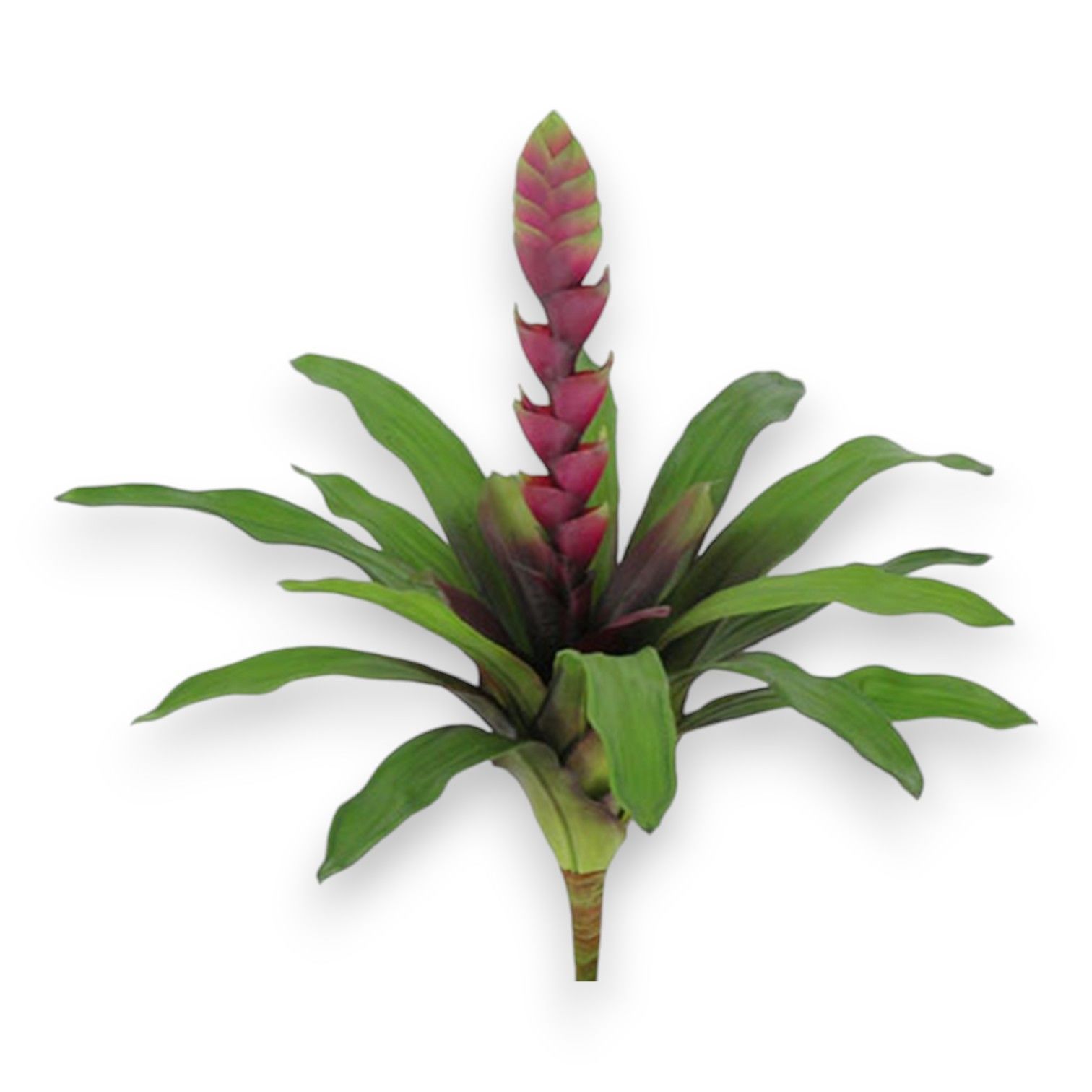 Yapay Bitki Bromelia