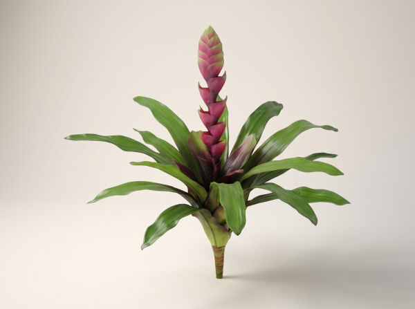 Yapay Bitki Bromelia – Saksı Bitkisi (52 cm) - 2215BG