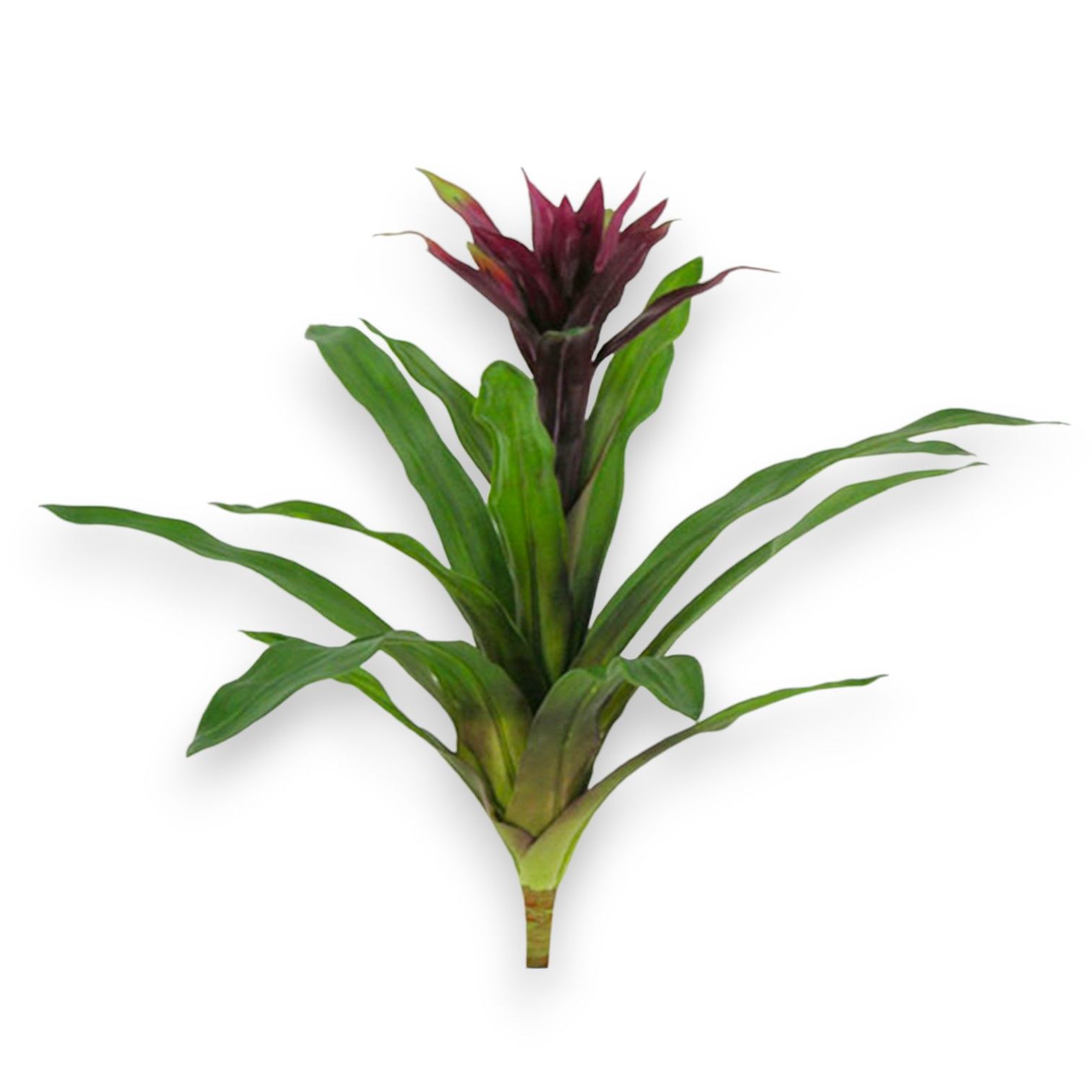 Yapay Bitki Guzmania