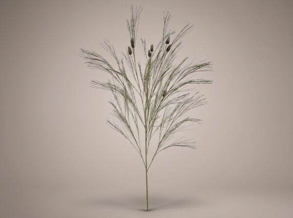 Yapay Çam Dalı – Pine Grass