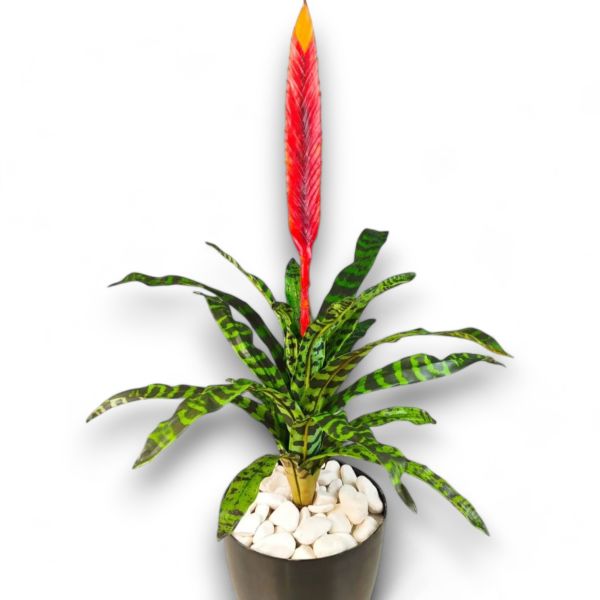 Yapay Bitki Bromelia Alev Kılıcı