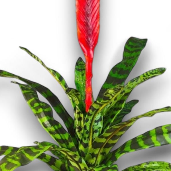 Yapay Bitki Bromelia Alev Kılıcı