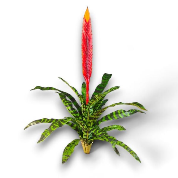 Yapay Bitki Bromelia Alev Kılıcı