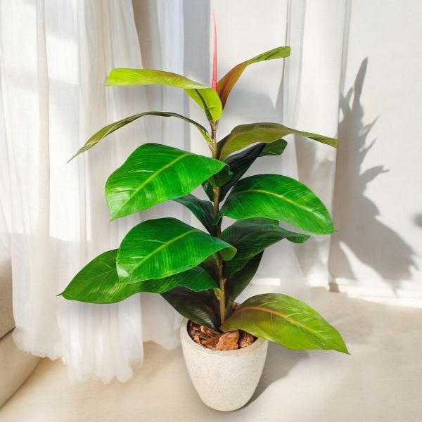 Yapay Bitki Kauçuk Ağacı 70cm