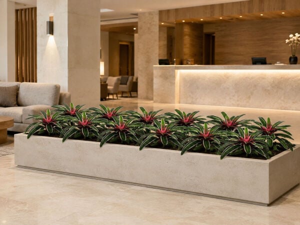 Yapay Bitki Bromelia 50 cm