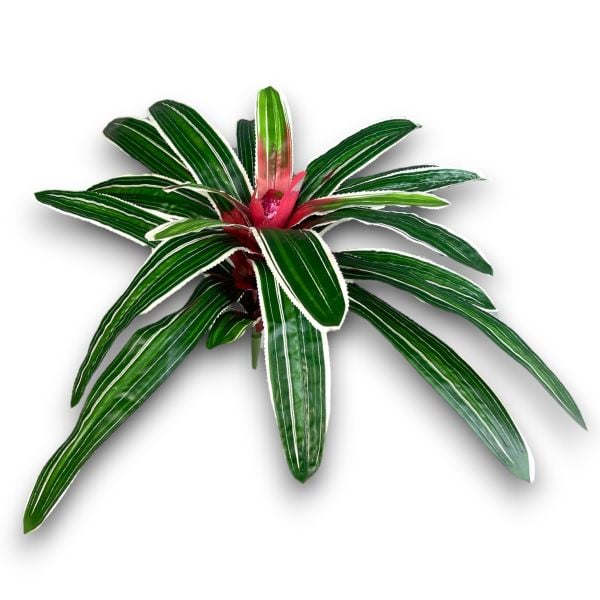 Yapay Bitki Bromelia 40cm