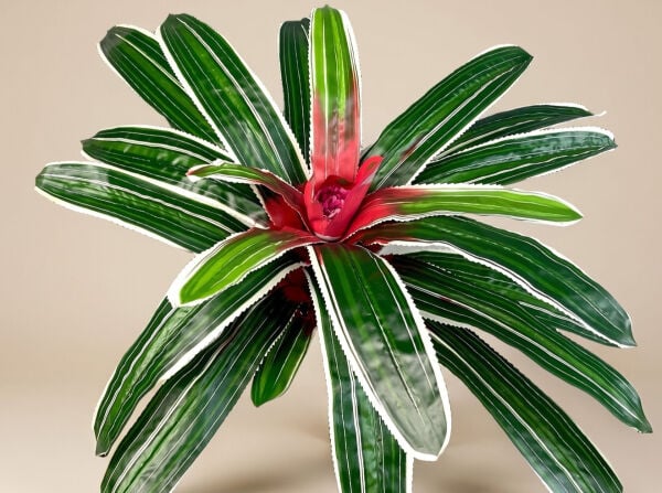 Yapay Bitki Bromelia 50 cm