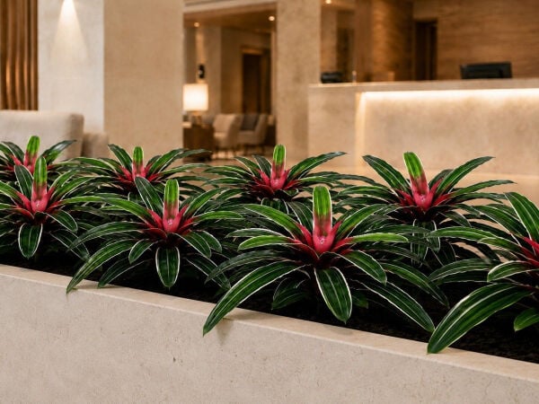 Yapay Bitki Bromelia 50 cm