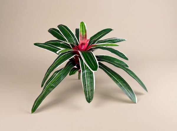 Yapay Bitki Bromelia 50 cm