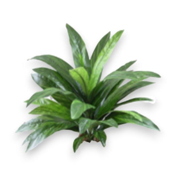 Yapay Bitki Difenbahya Green