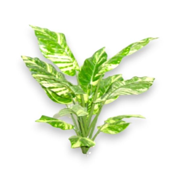 Yapay Bitki Pothos