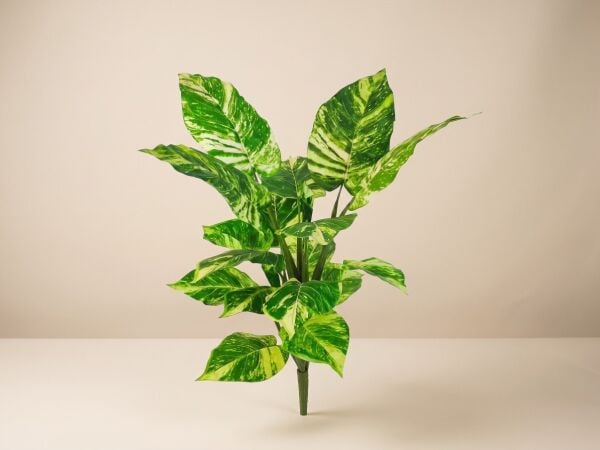 Yapay Bitki Difenbahya 70 cm