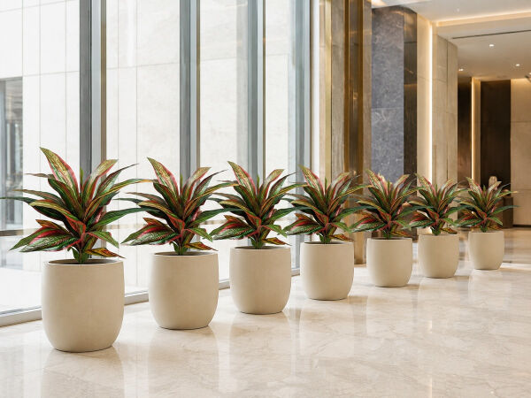 Yapay Bitki Dracena Kırmızı-Yeşil – Saksı Bitkisi (55 cm) - 061AV04B
