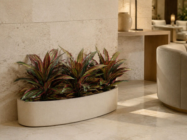 Yapay Bitki Dracena Kırmızı-Yeşil – Saksı Bitkisi (55 cm) - 061AV04B