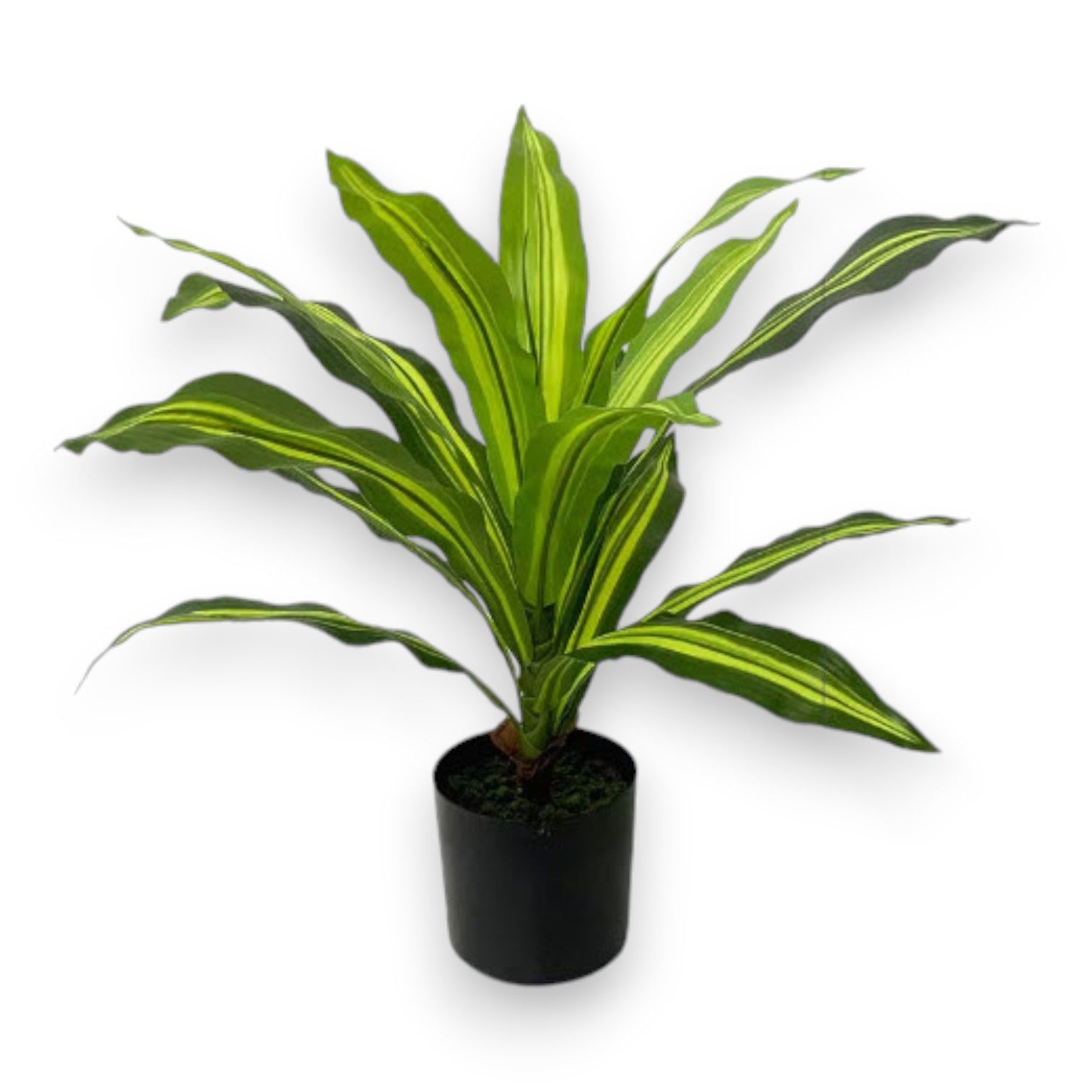 Yapay Bitki Dracena 50cm