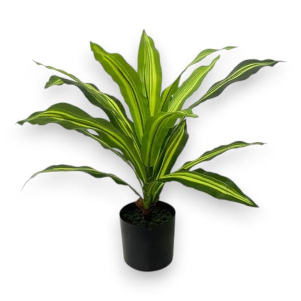 Yapay Bitki Dracena 50cm
