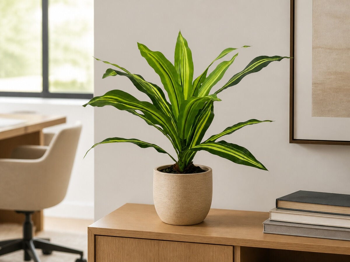 Yapay Bitki Dracena - 40 cm