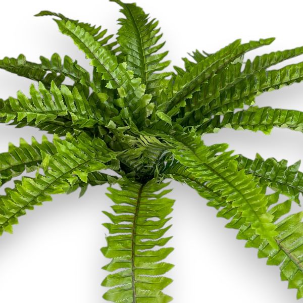 Yapay Bitki Fujer Boston Fern 60cm