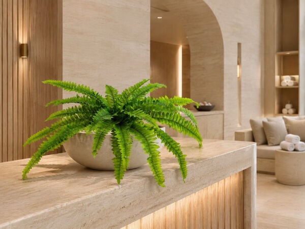 Yapay Bitki Fujer Boston Fern 60cm – Aşk Merdiveni Eğrelti Otu