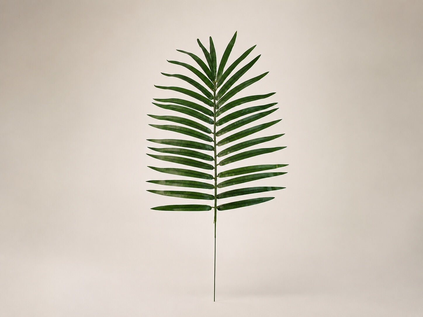 Palmiye Yaprağı Mini 55 cm
