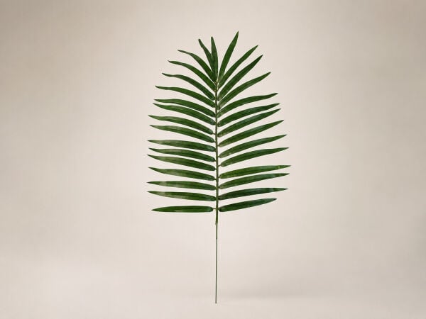 Palmiye Yaprağı Mini 55 cm