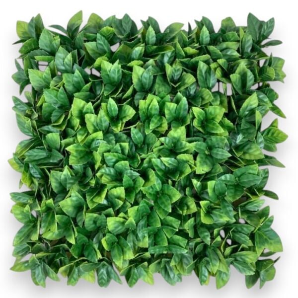 UV Korumalı Dikey Bahçe 50x50 cm - Geniş Yapraklı Defne
