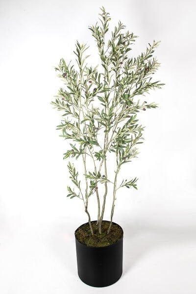 Zeytin Ağacı 210cm