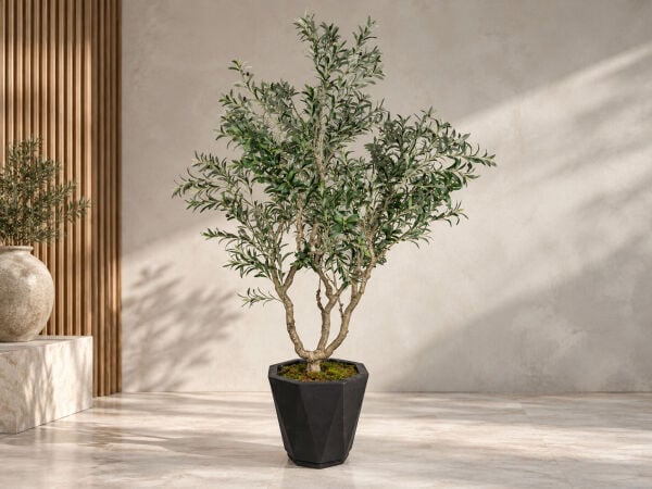 Yapay Zeytin Ağacı 230cm - Saksılı